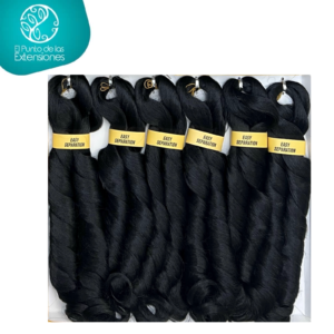 TRENZAS FRANCESAS - 1