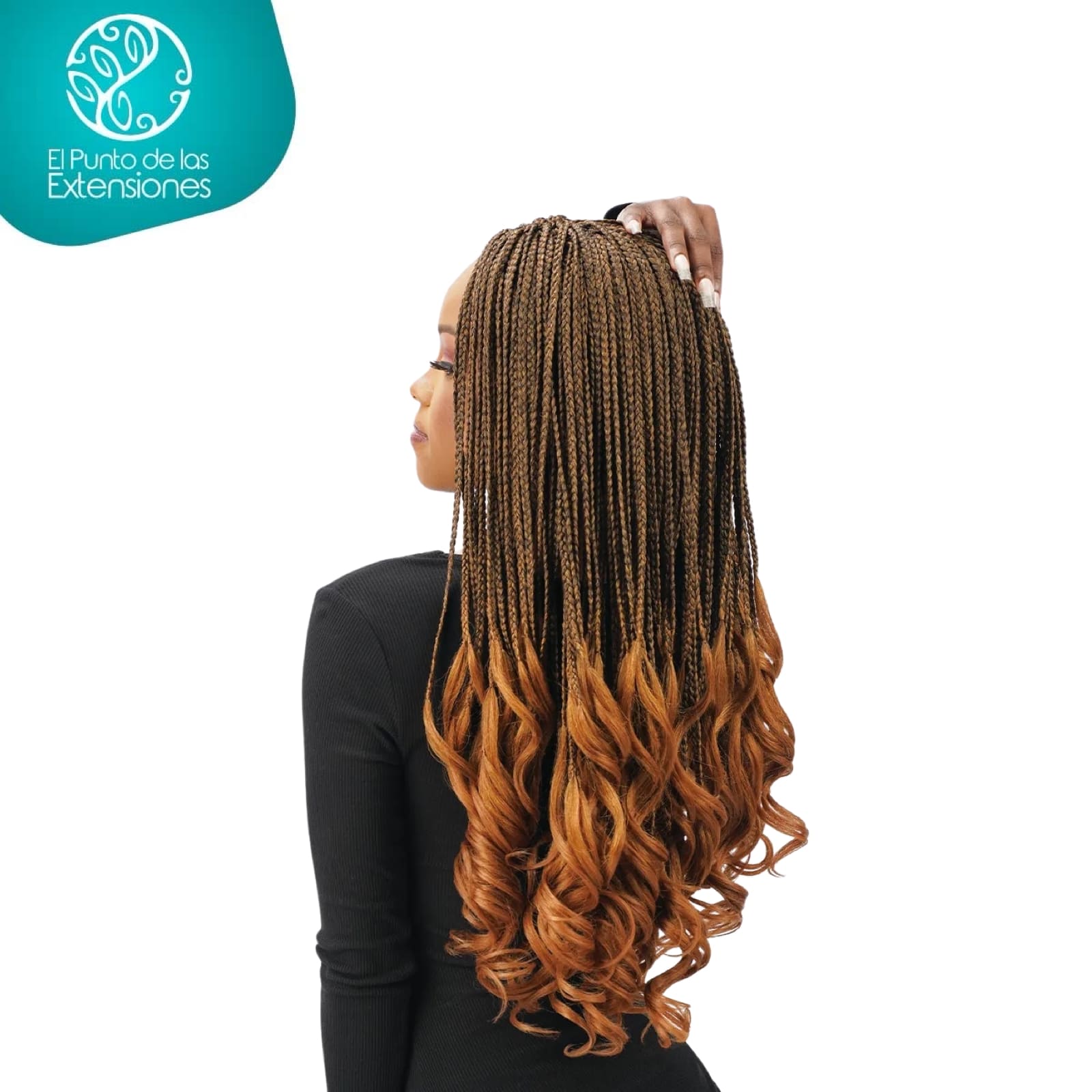 TRENZAS FRANCESAS - Imagen 2